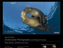 Tablet Screenshot of borutfurlan.com